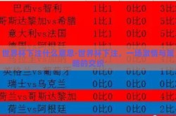 世界杯下注什么意思-世界杯下注，一场激情与策略的交织