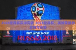 2026世界杯买球竞猜-2026世界杯，买球竞猜的激情与策略