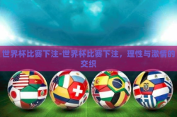 世界杯比赛下注-世界杯比赛下注，理性与激情的交织