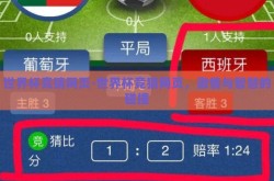 世界杯竞猜网页-世界杯竞猜网页，激情与智慧的碰撞