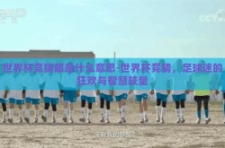 世界杯竞猜那是什么意思-世界杯竞猜，足球迷的狂欢与智慧较量