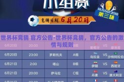 世界杯竞猜 官方公告-世界杯竞猜，官方公告的激情与规则