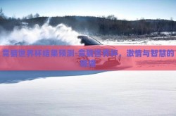 竞猜世界杯结果预测-竞猜世界杯，激情与智慧的碰撞