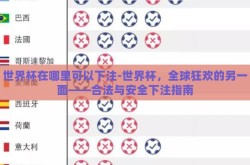 世界杯在哪里可以下注-世界杯，全球狂欢的另一面——合法与安全下注指南