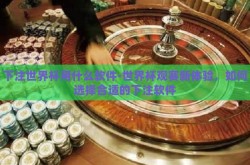 下注世界杯用什么软件-世界杯观赛新体验，如何选择合适的下注软件
