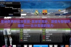 足球世界杯比分竞猜-足球世界杯，激情与智慧的碰撞——比分竞猜的魅力