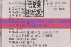 世界杯竞彩中奖票-世界杯竞彩中奖票，梦想与现实的交织