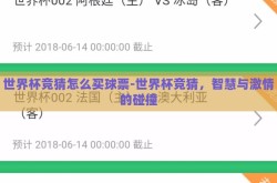 世界杯竞猜怎么买球票-世界杯竞猜，智慧与激情的碰撞