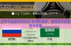 世界杯竞猜如何投注-世界杯竞猜，理性投注的智慧与乐趣