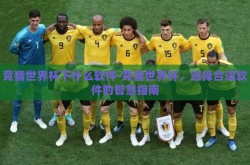 竞猜世界杯下什么软件-竞猜世界杯，选择合适软件的智慧指南