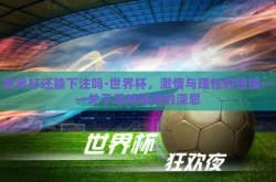世界杯还能下注吗-世界杯，激情与理性的碰撞——关于足球赌博的深思