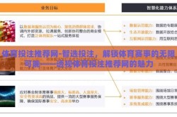 体育投注推荐网-智选投注，解锁体育赛事的无限可能——透视体育投注推荐网的魅力