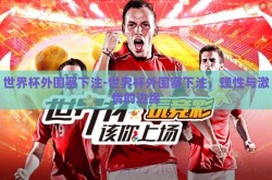 世界杯外围赛下注-世界杯外围赛下注，理性与激情的边缘