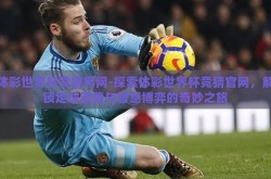 体彩世界杯竞猜官网-探索体彩世界杯竞猜官网，解锁足球激情与智慧博弈的奇妙之旅