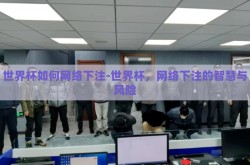 世界杯如何网络下注-世界杯，网络下注的智慧与风险