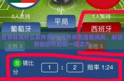 世界杯用什么软件竞猜-世界杯竞猜新风尚，解锁智能软件助你一臂之力