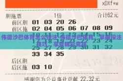 伟德沙巴体育怎么投注-伟德沙巴体育，掌握投注技巧，享受精彩竞技