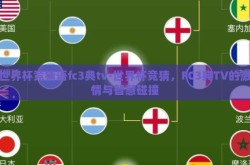 世界杯竞猜语fc3典tv-世界杯竞猜，FC3典TV的激情与智慧碰撞