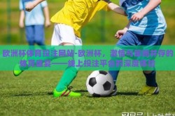 欧洲杯体育投注网站-欧洲杯，激情与策略并存的体育盛宴——线上投注平台的深度体验