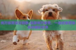 狗万体育投注官网-探索狗万体育，一站式体育娱乐的精彩世界