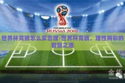 世界杯竞猜怎么买合理-世界杯竞猜，理性购彩的智慧之道