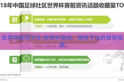 世界杯如何下注-世界杯足球，理性下注的智慧指南