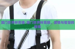 澳门世界杯竞猜-澳门世界杯竞猜，激情与智慧的碰撞