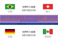 世界杯竞猜名单查询-世界杯竞猜名单，解锁足球盛宴的趣味密码