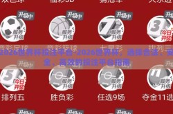 2026世界杯投注平台-2026世界杯，选择合法、安全、高效的投注平台指南