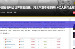 体育投注bob-体育投注bob，理性与激情的交织