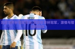 竞猜世界杯冠军预测-竞猜世界杯冠军，激情与智慧的碰撞