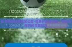 世界杯足球竞猜怎么买-世界杯足球竞猜，策略与技巧的完美融合