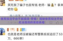 体育投注平台不能提现-警惕！揭秘体育投注平台无法提现的背后真相