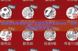 足球世界杯竞猜app-足球世界杯竞猜app，娱乐与激情的数字交汇