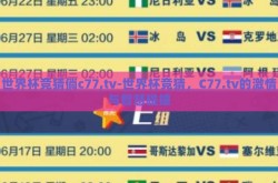 世界杯竞猜倘c77,tv-世界杯竞猜，C77.tv的激情与智慧碰撞