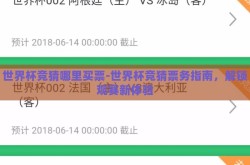 世界杯竞猜哪里买票-世界杯竞猜票务指南，解锁观赛新体验