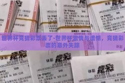 世界杯竞猜彩票丢了-世界杯激情与遗憾，竞猜彩票的意外失踪