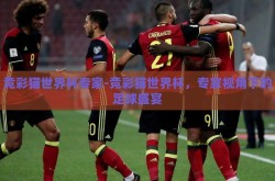 竞彩猫世界杯专家-竞彩猫世界杯，专家视角下的足球盛宴