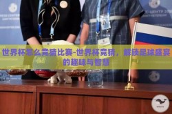 世界杯怎么竞猜比赛-世界杯竞猜，解锁足球盛宴的趣味与智慧