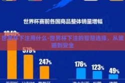 世界杯下注用什么-世界杯下注的智慧选择，从策略到安全