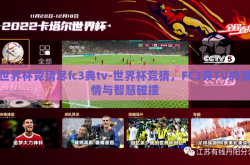 世界杯竞猜尽fc3典tv-世界杯竞猜，FC3典TV的激情与智慧碰撞