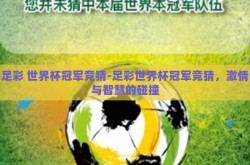 足彩 世界杯冠军竞猜-足彩世界杯冠军竞猜，激情与智慧的碰撞