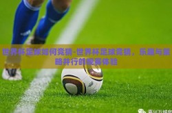 世界杯足球如何竞猜-世界杯足球竞猜，乐趣与策略并行的观赛体验