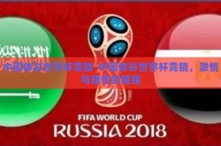 中国体彩世界杯竞猜-中国体彩世界杯竞猜，激情与理性的碰撞