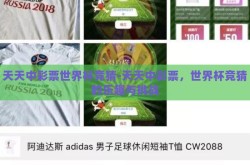 天天中彩票世界杯竞猜-天天中彩票，世界杯竞猜的乐趣与挑战