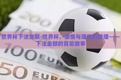 世界杯下注金额-世界杯，激情与理性的碰撞——下注金额的背后故事