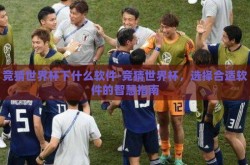 竞猜世界杯下什么软件-竞猜世界杯，选择合适软件的智慧指南