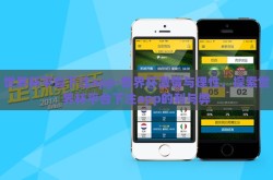 世界杯平台下注app-世界杯激情与理性，探索世界杯平台下注app的利与弊