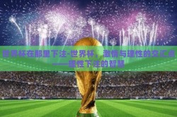 世界杯在那里下注-世界杯，激情与理性的交汇点——理性下注的智慧