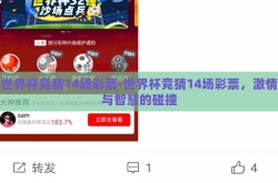 世界杯竞猜14场彩票-世界杯竞猜14场彩票，激情与智慧的碰撞